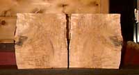masur birch